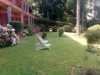 Image 15 - Outside