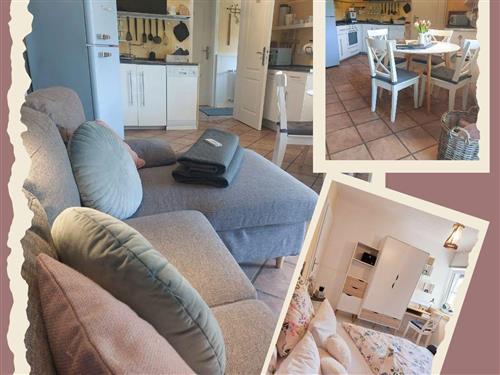 Ferielejlighed - 2 personer -  - Am Schloßberg - 55758 - Bärenbach