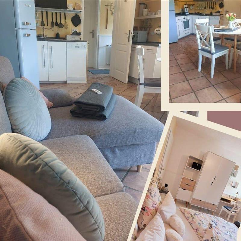 Ferielejlighed - 2 personer -  - Am Schloßberg - 55758 - Bärenbach