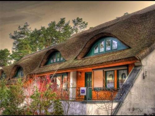 Ferielejlighed - 3 personer -  - Zeltplatzstr. - 17449 - Karlshagen