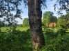 Billede 4