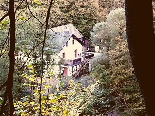 Feriehus - 4 personer -  - 56826 - Lutzerath