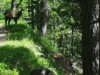 Billede 16 - Inde