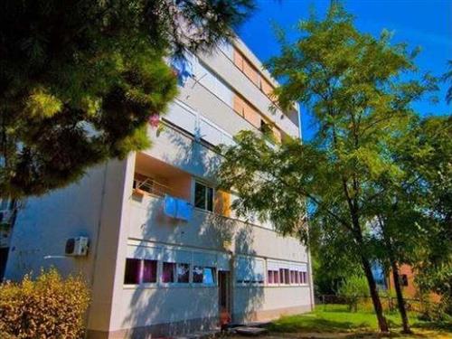 Ferielejlighed - 4 personer -  - Hektoroviceva - 21000 - Split