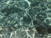 Bild 12 - Ude