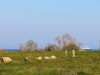Bild 40 - Blick über's Wasser
