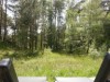 Bild 24