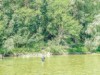 Billede 9