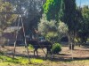 Bilde 5