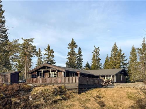 Sommerhus - 8 personer -  - Heivegen - Kyrkjebygdheia - 3854 - Nissedal
