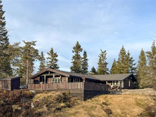 Holiday home - 8 persons -  - Heivegen - Kyrkjebygdheia - 3854 - Nissedal