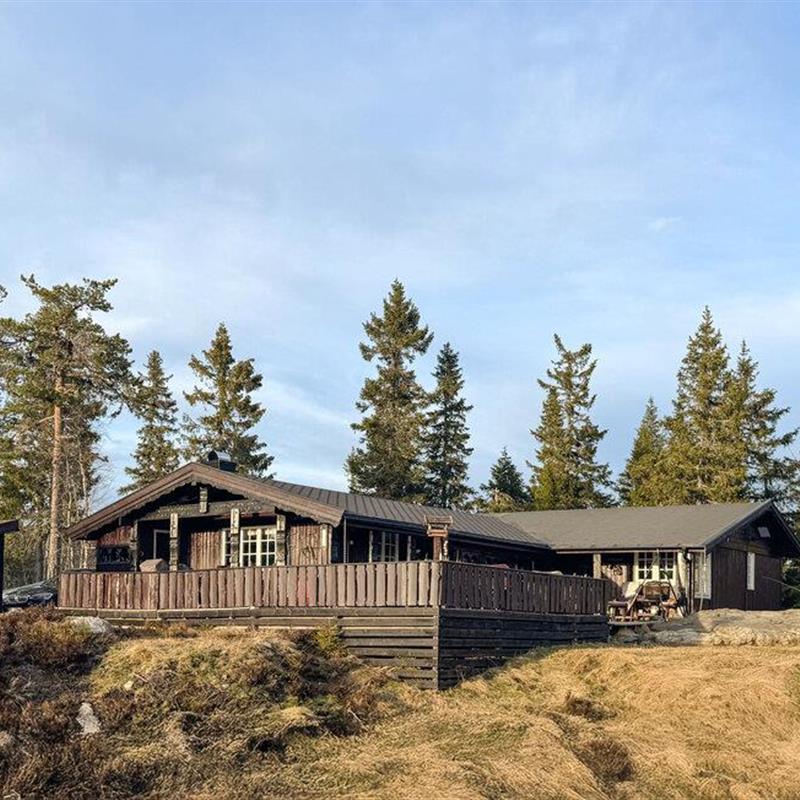 Sommerhus - 8 personer -  - Heivegen - Kyrkjebygdheia - 3854 - Nissedal
