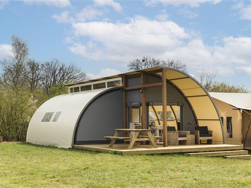 Glamping telt - 4 personer -  - 7466PD - Zuna