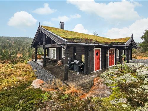 Feriehus - 8 personer -  - Gampeflåvegen - Blefjell - 3622 - Svene