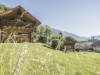Bild 18 - Aussen