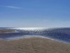 Bild 37 - Blick über's Wasser
