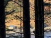 Bilde 39 - Ude