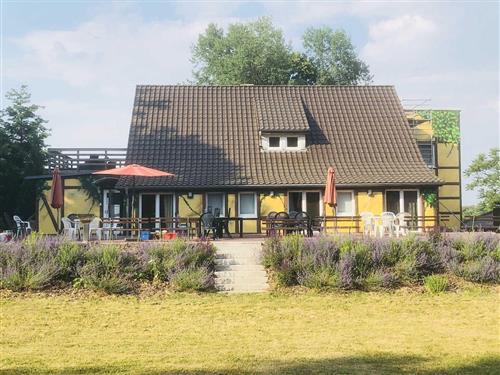 Semesterhus/Semesterlägenhet - 3 personer -  - Alte Poststr. - 17258 - Feldberger Seenlandschaft