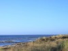 Bild 17