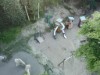 Billede 4