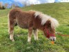 Bild 8