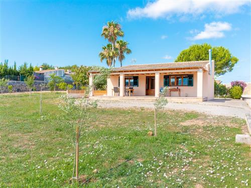 Sommerhus - 4 personer -  - Alcúdia - 07400