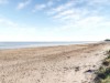 Billede 13