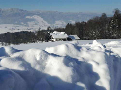 Bondgård - 3 personer -  - Guggenbergstraße - 5310 - Tiefgraben Am Mondsee