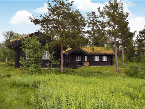 Feriehus - 14 personer -  - Søndre Krossbakkveg - 3864 - Rauland