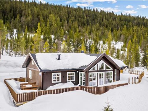 Holiday home - 8 persons -  - Stornesvegen - Tunhovd - 3630 - Rødberg