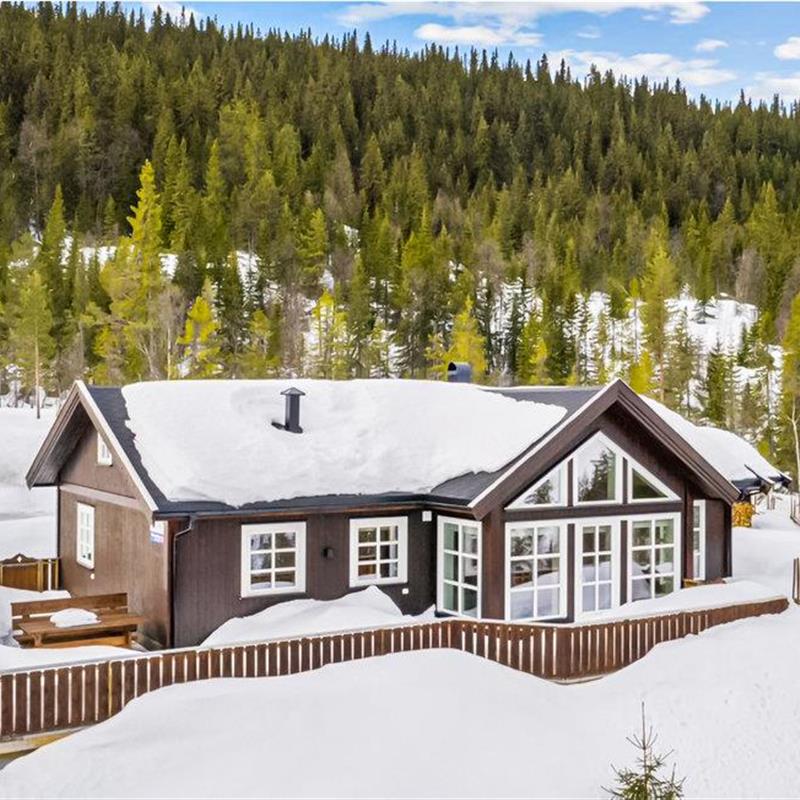 Sommerhus - 8 personer -  - Stornesvegen - Tunhovd - 3630 - Rødberg