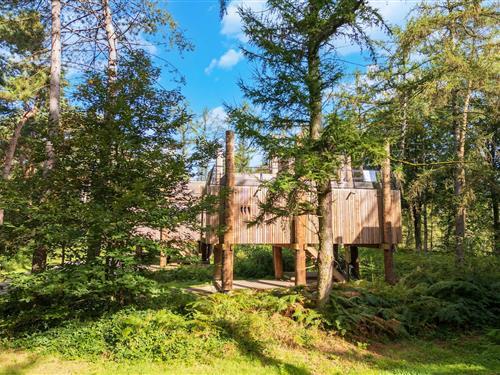 Ferienhaus - 4 Personen -  - 7640 - Antoing