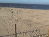 Bild 22