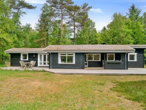 Sommerhus - 8 personer -  - Borrelyngen - Nykøbing, Sj. - 4500 - Nykøbing Sj