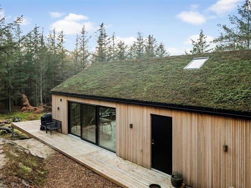 Ferienhaus - 4 Personen -  - Brændevinsstien - 9492 - Blokhus