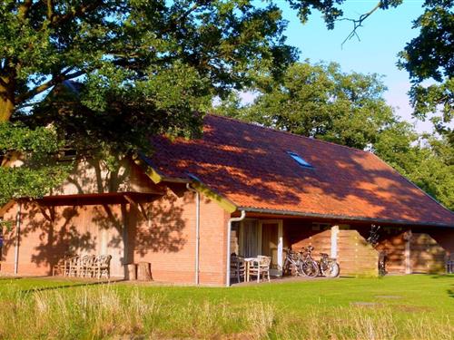 Holiday home - 5 persons -  - 7678SH - Geesteren