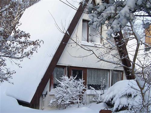 Holiday apartment - 4 persons -  - Pappelallee - 18347 - Ahrenshoop