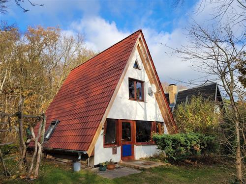 Ferieleilighet - 4 personer -  - Pappelallee - 18347 - Ahrenshoop