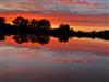 Bilde 3