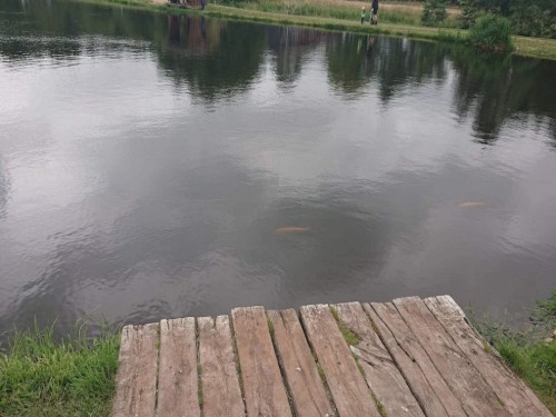 Fritidshus - 8 personer -  - Torpet - Hovborg - 6682 - Central Jutland