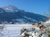 Bilde 5