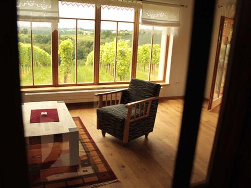 Sommerhus - 8 personer -  - Prebensdorfberg - 8211 - Großpesendorf