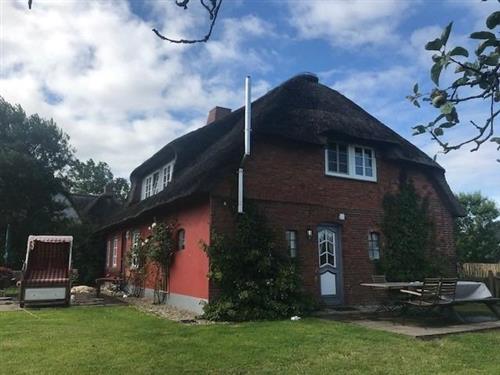 Ferielejlighed - 4 personer -  - An de Marsch - 25938 - Midlum Auf Föhr