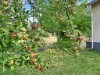 Bild 28 - Ude
