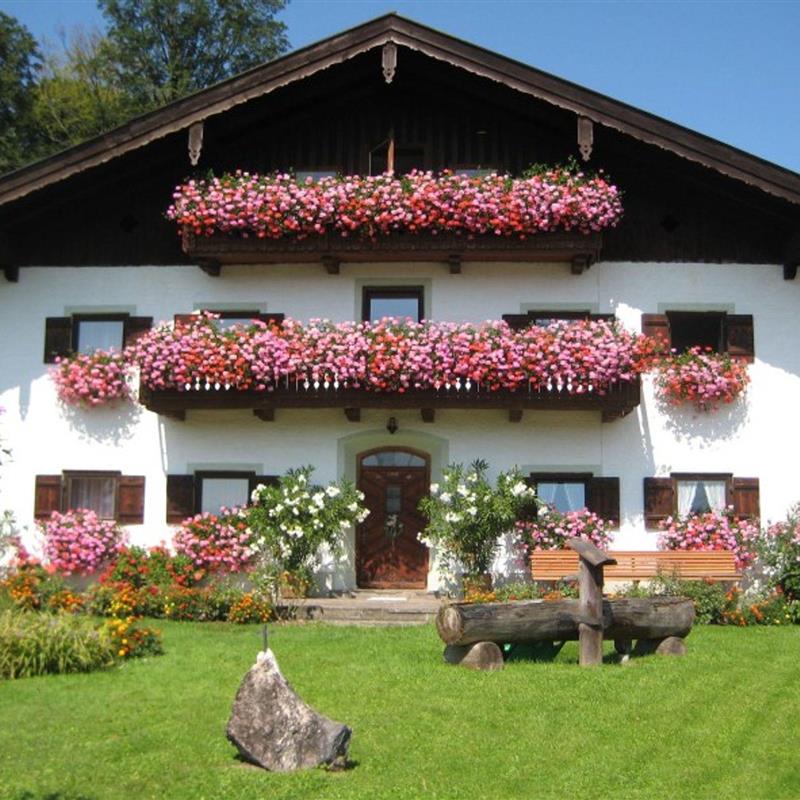 Ferielejlighed - 2 personer -  - Salzstraße - 83454 - Anger