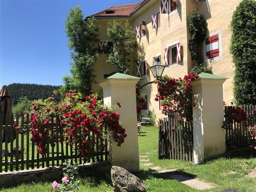 Holiday apartment - 4 persons -  - Stadlob - 8820 - Neumarkt In Steiermark