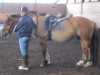 Bild 18