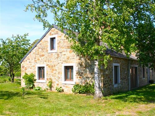 Ferienhaus - 6 Personen -  - Mesnil-Saint-Blaise - 5560