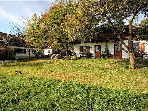 Ferienhaus - 5 Personen -  - Burgham - 83358 - Seebruck