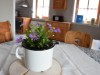 Bild 5 - Innen